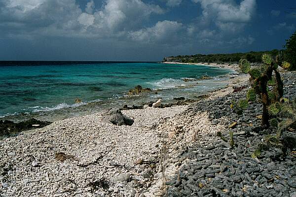 Playa Largu