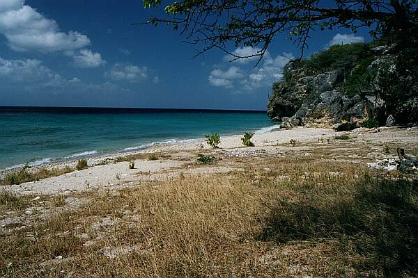 Playa Manzalino