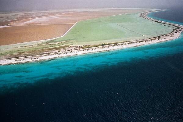 Pink Beach