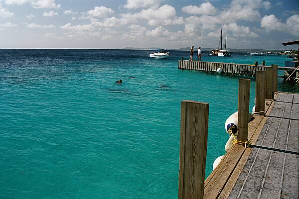 Buddy's Reef