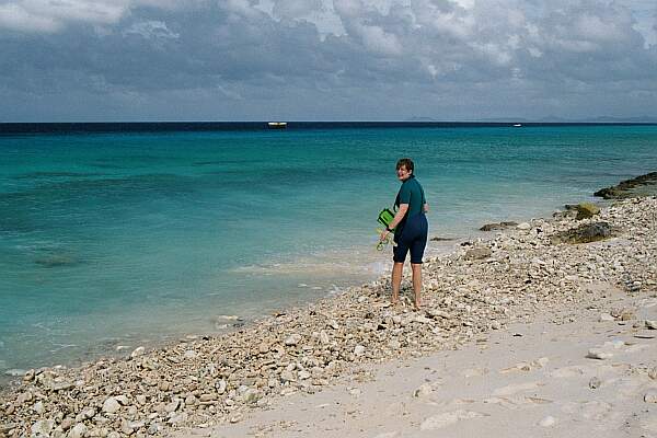 Salt Pier