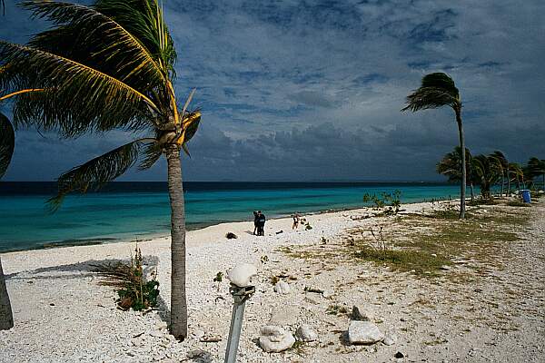 Pink Beach