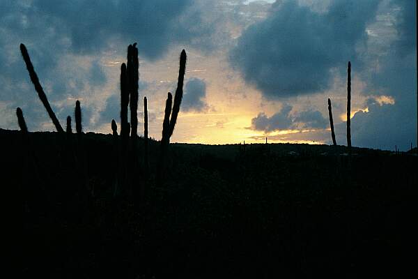 Scenery Bonaire North