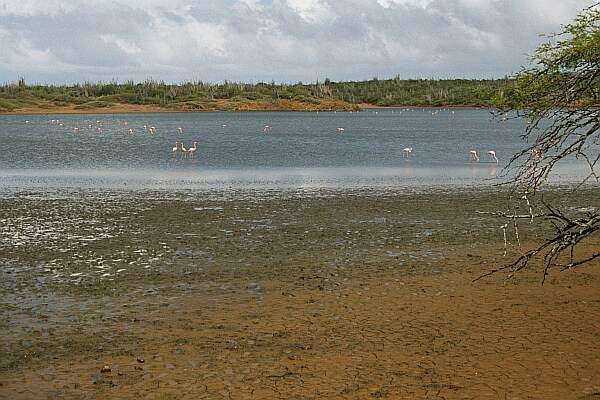 Scenery Bonaire North