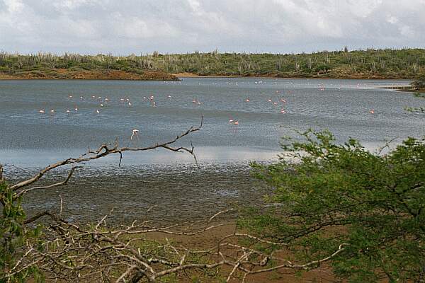 Scenery Bonaire North