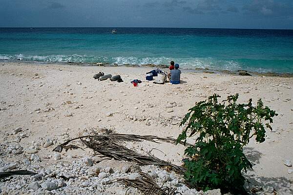 Pink Beach