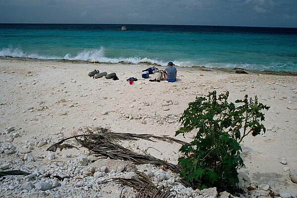 Pink Beach