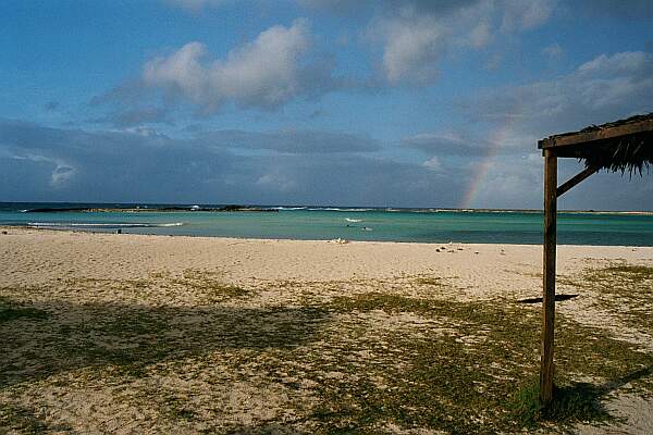 Baby Beach Reef