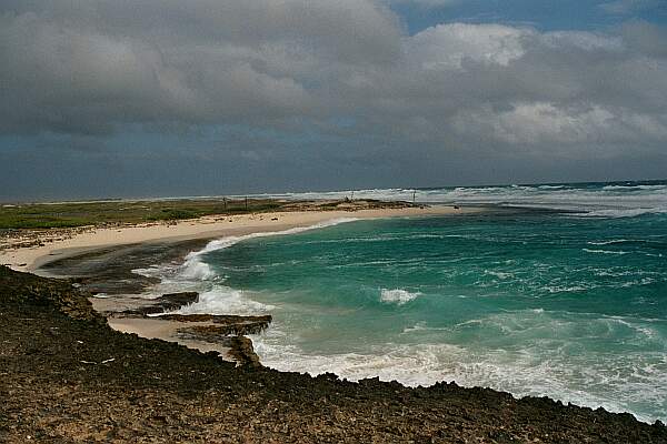 Bachelor's Beach