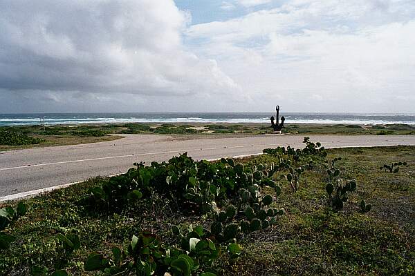 Bachelor's Beach