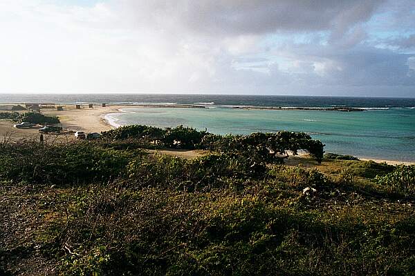 Baby Beach Reef