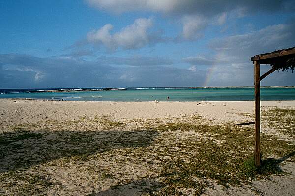 Baby Beach Reef