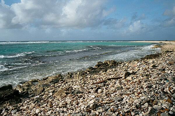 Santana Reef