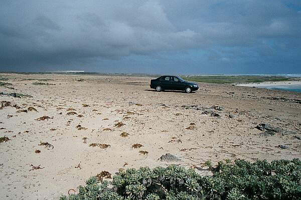 Bachelor's Beach