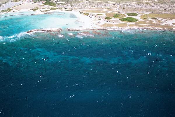 Baby Beach Reef