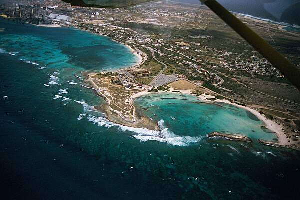 Baby Beach Reef