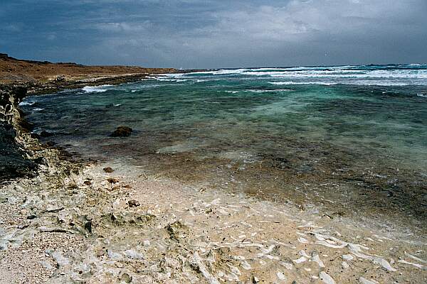 Cabez Reef