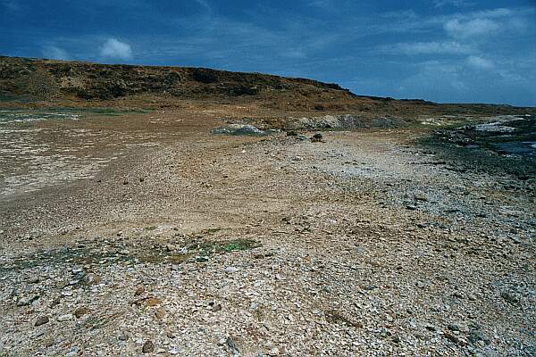 Cabez Reef