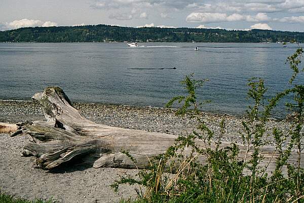 Mukilteo State Park