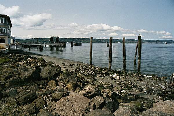 Mukilteo T-Dock