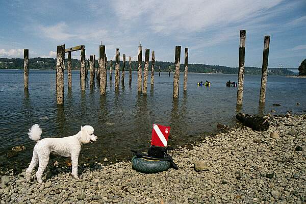 Titlow Beach