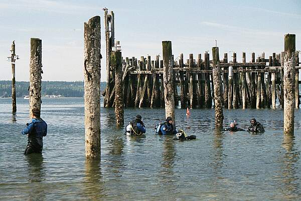 Titlow Beach