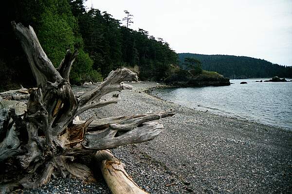 Rosario Beach