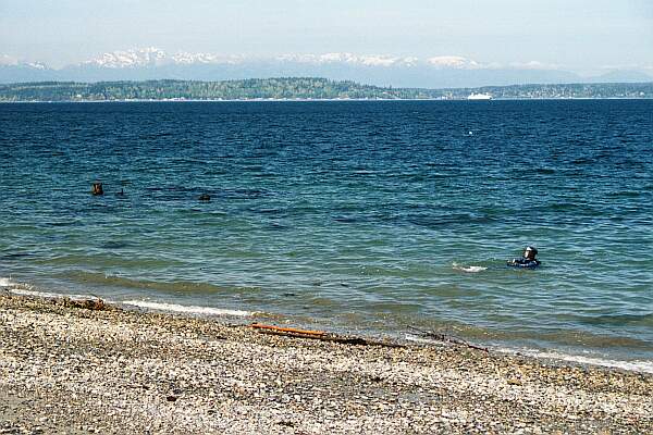 Alki Beach Park