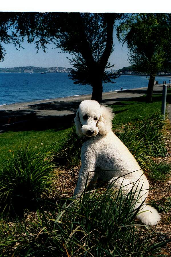 Alki Beach Park