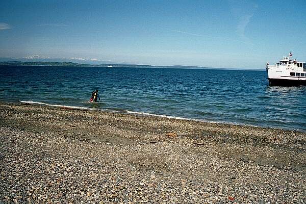 Alki Beach Park