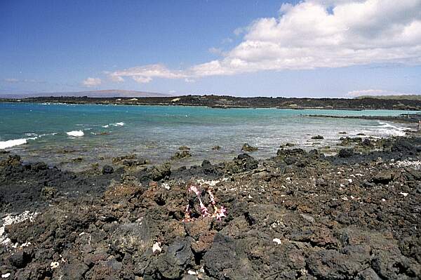 La Perouse