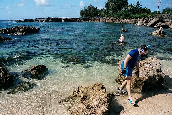 Shark's Cove