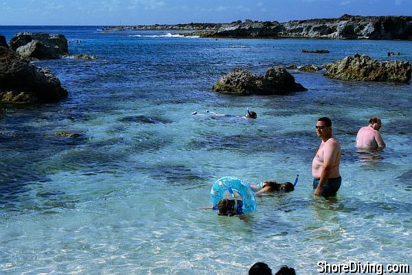 Shark's Cove