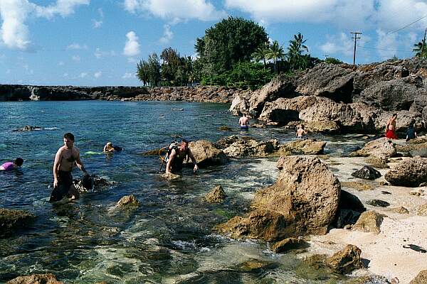 Shark's Cove