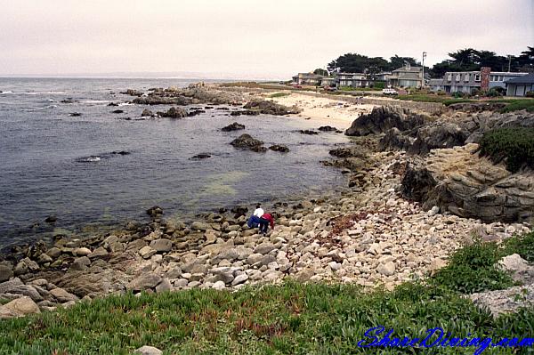 Coral Street Beach