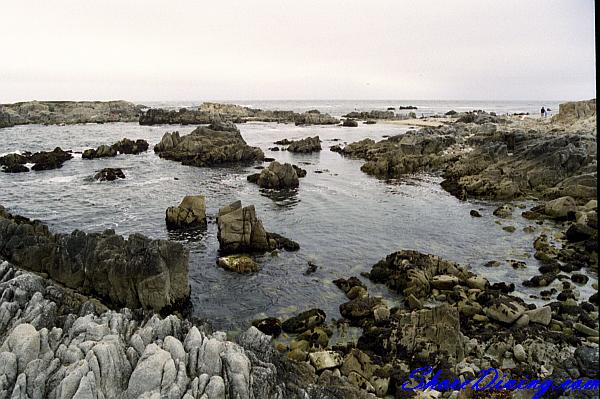 Point Pinos (Sewer Plant Beach)