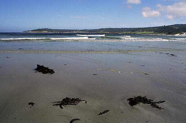 Carmel Point