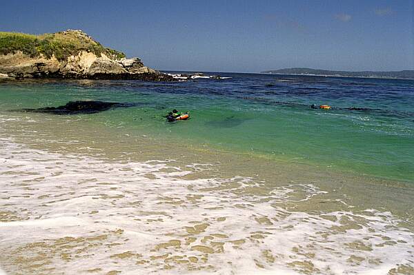 Monastery Beach South