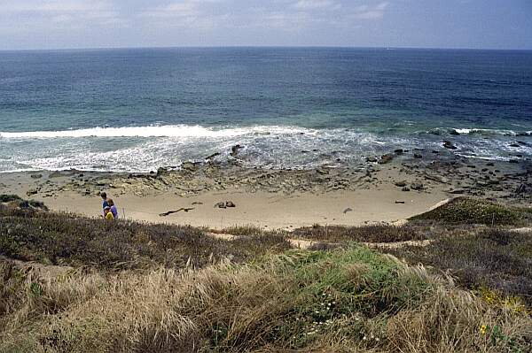 Crystal Cove State Park