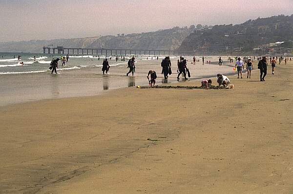 La Jolla Shores