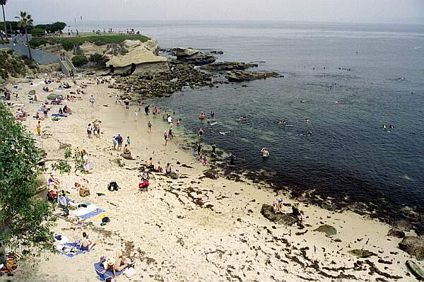 La Jolla Cove