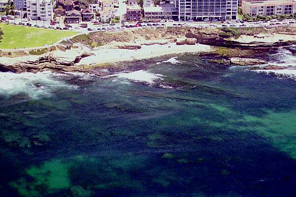 Shell Beach