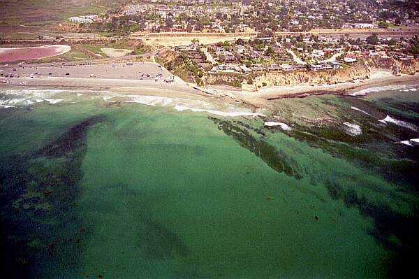 Cardiff State Beach