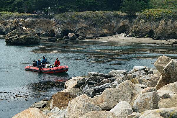 Whalers Cove (Point Lobos)