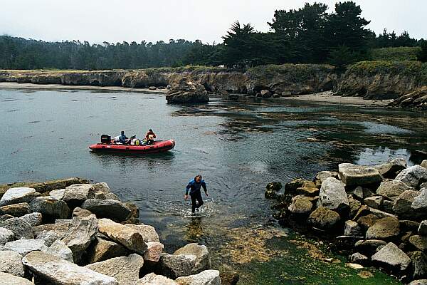 Whalers Cove (Point Lobos)
