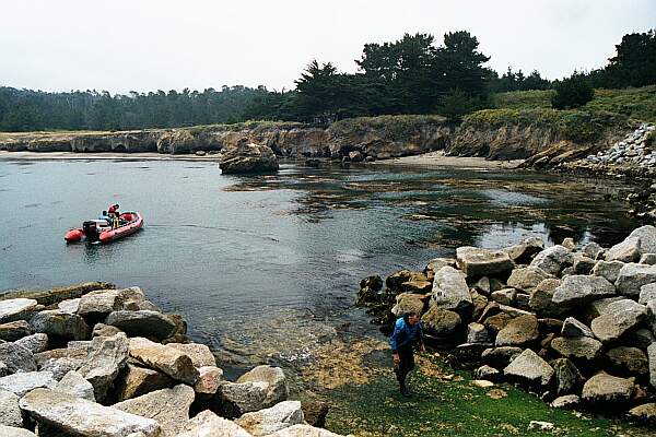 Whalers Cove (Point Lobos)