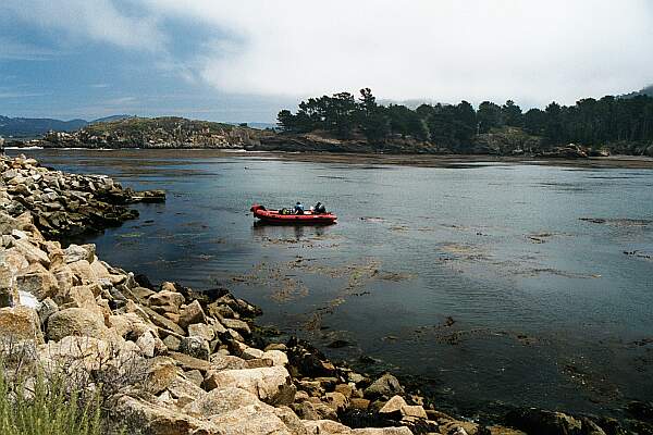 Whalers Cove (Point Lobos)