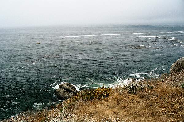 Fort Ross South