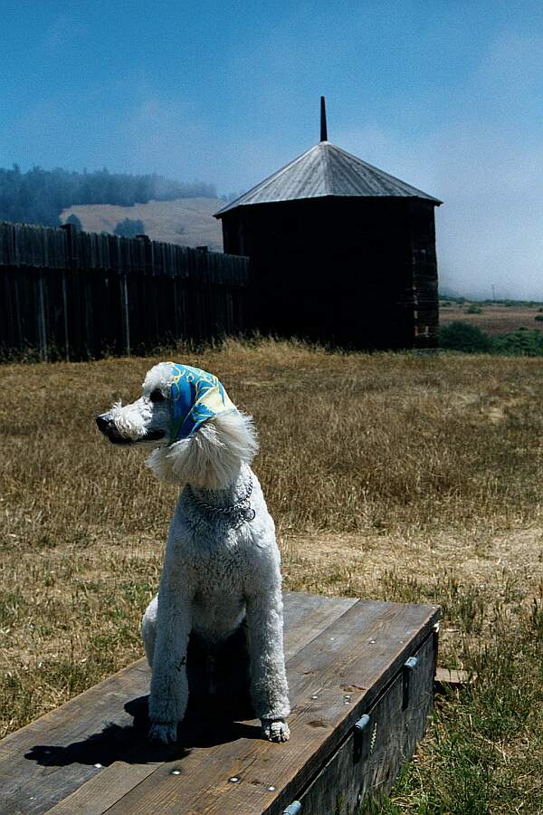 Fort Ross North