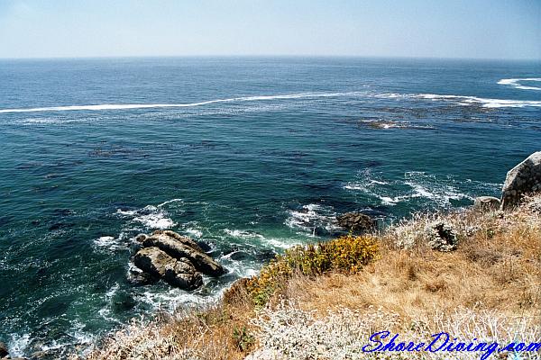 Fort Ross South